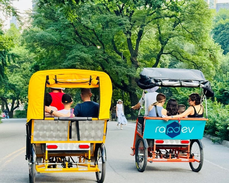 Central Park Pedicab Tour of South & Mid Park in NYC
