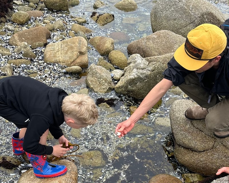 Naturalist-Guided Tide Pooling Near Monterey