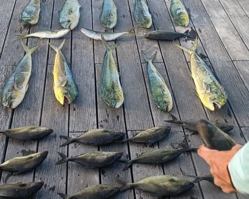 Full-Day Fishing Charter in Marathon