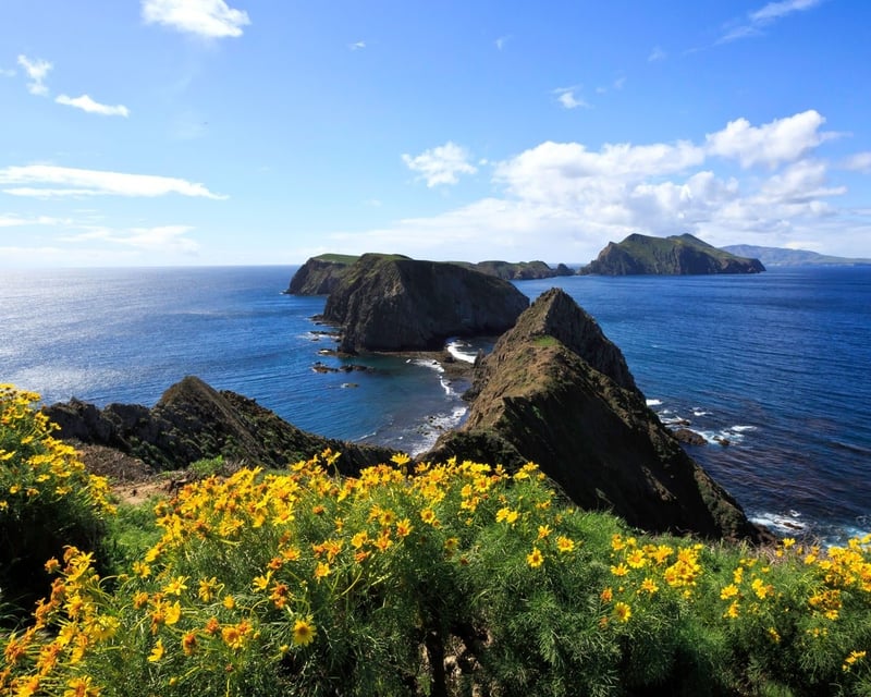 Full-Day Private Channel Islands Boat Charter from Oxnard