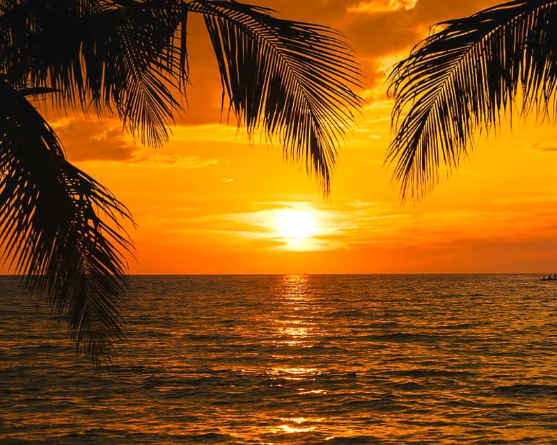 Florida Keys Sunset Charter