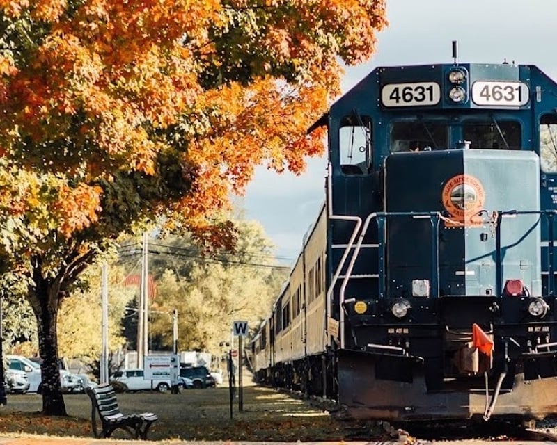 Blue Ridge Scenic Train Ride to McCaysville & Copperhill