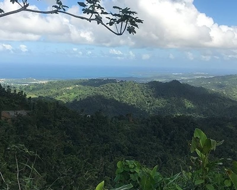 El Yunque 7-Hour Rainforest & Beach Tour