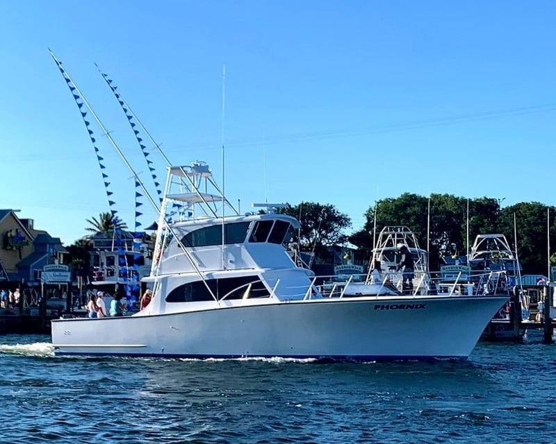 6-Hour Deep Sea Fishing Charter in Destin