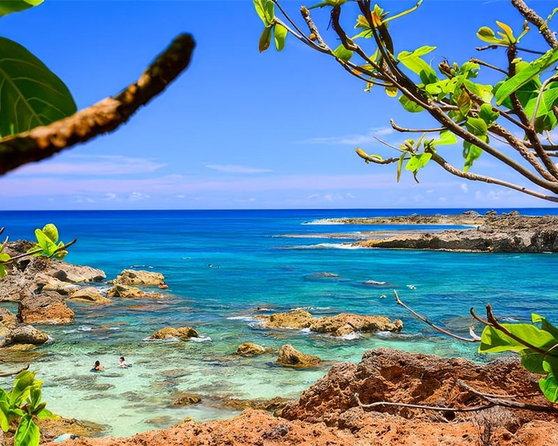 Private Oahu Circle Island Tour with Dole Plantation