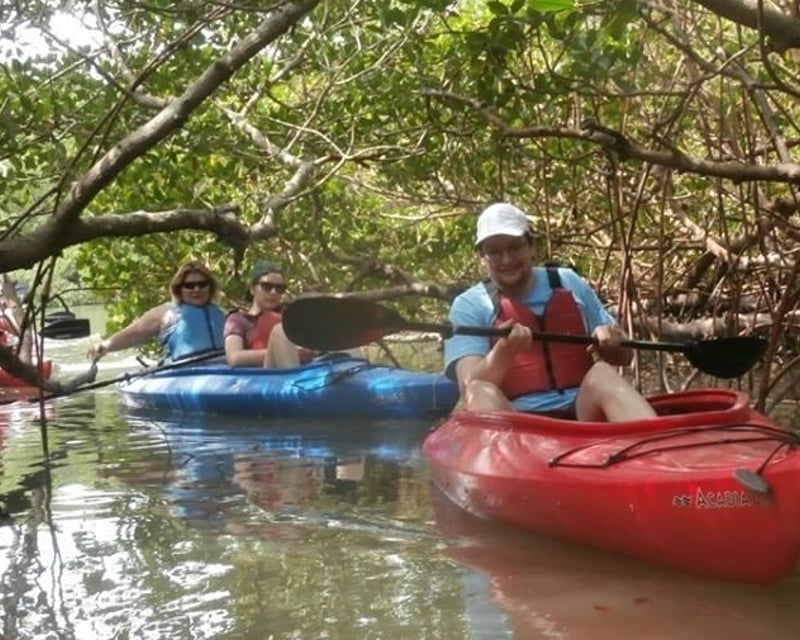 Mangrove Tunnel Kayak Tour with Naturalist in Matlacha Pass