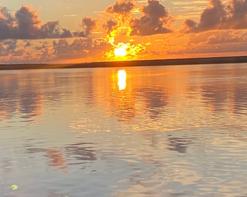 Sunset Dolphin Tour in Tybee Island