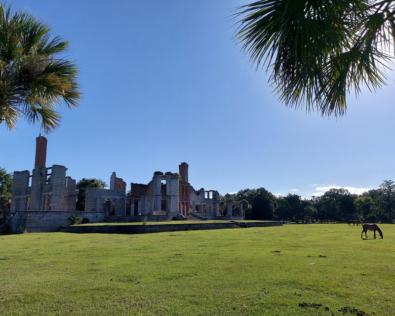 Explore Cumberland Island Dungeness Ruins Walking Tour