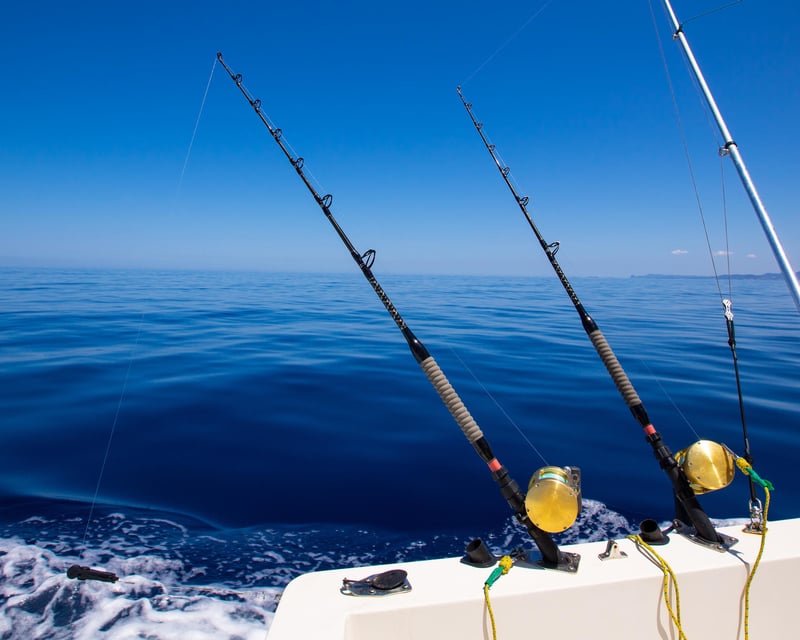 Afternoon Fishing Trip in Virginia Beach