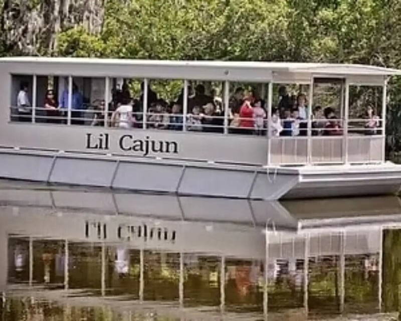 Covered Swamp Boat Tour in Westwego