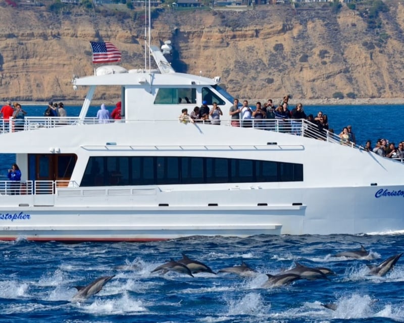 Whale & Dolphin Watching Eco-Catamaran Cruise in Los Angeles