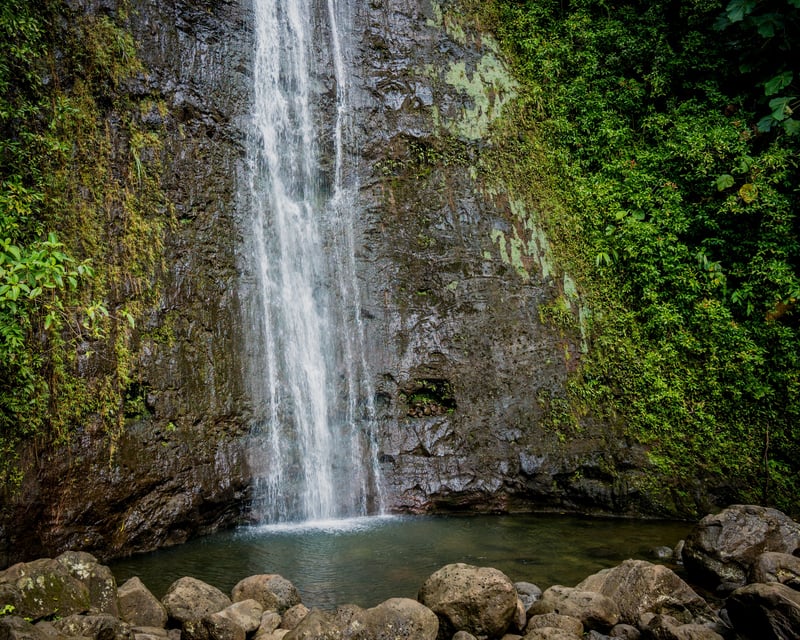 Mānoa Falls 12-Mile E-Bike & Hike Tour