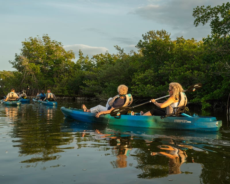Sunset Kayak Tour in St. Thomas