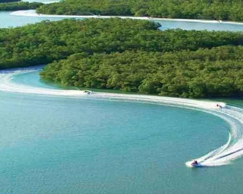 90-Minute Guided WaveRunner Tour in 10,000 Islands