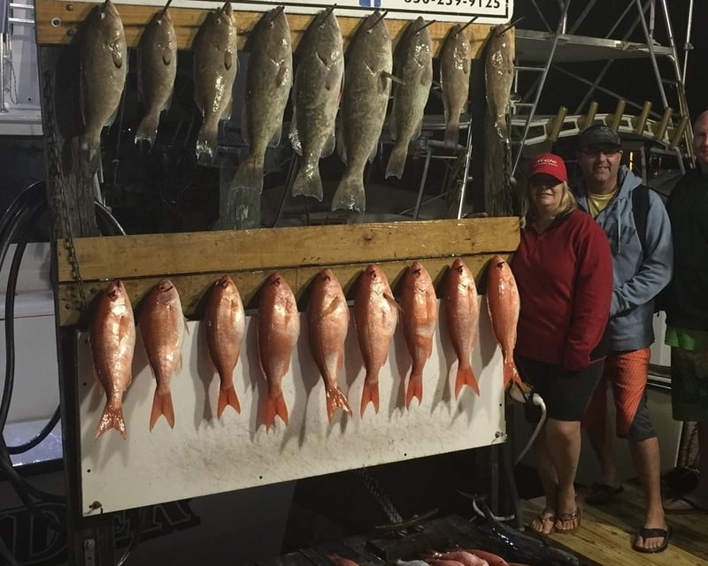Full-Day Deep Sea Fishing Charter in Destin
