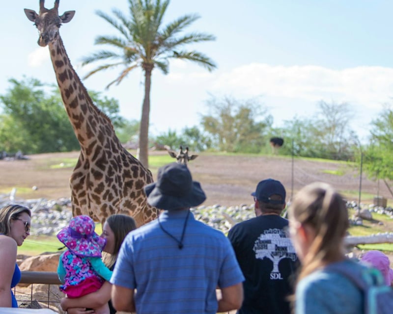 Phoenix Zoo General Admission Ticket in Papago Park