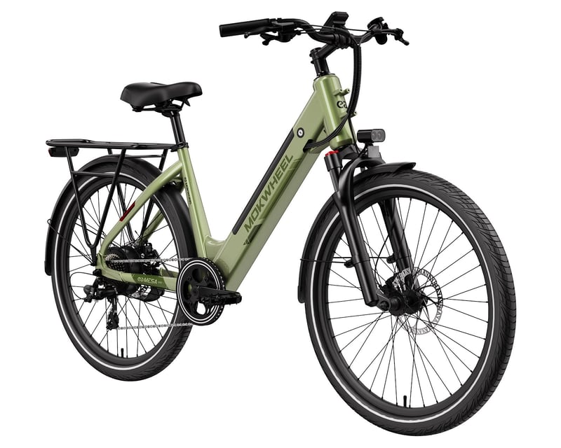 Step-Through E-Bike Rental in Santa Cruz