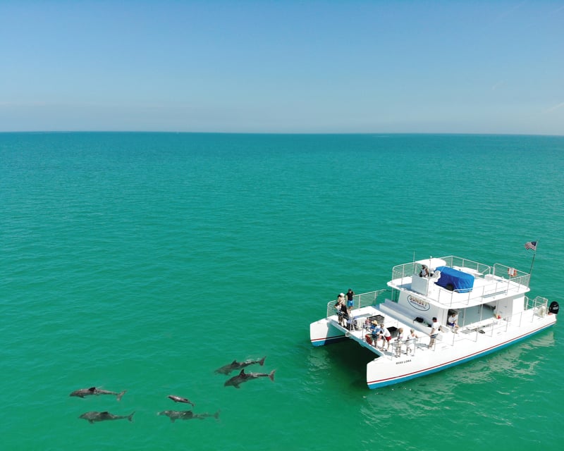 Key West Sandbar & Dolphin Watching Cruise with Lunch