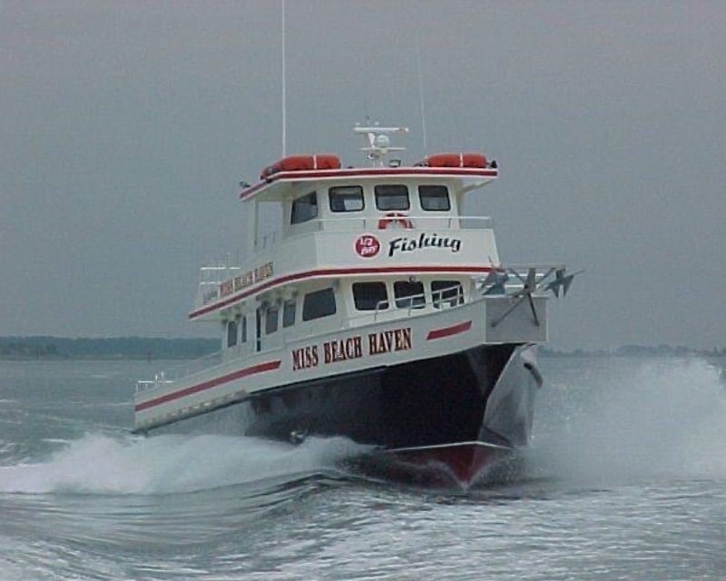 Afternoon Bay Fluke Fishing Trip in Beach Haven, NJ