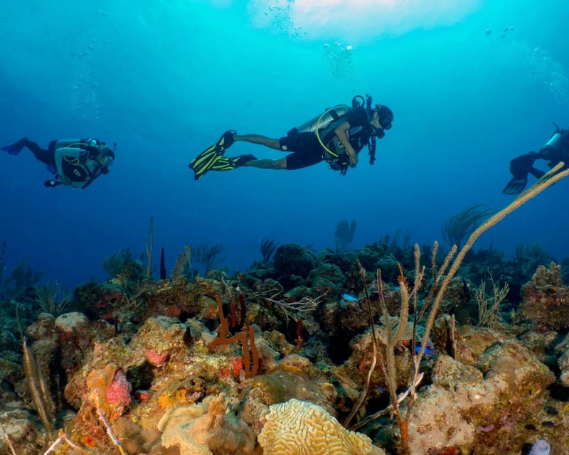 Culebra Island Reef Diving & Snorkeling Excursion