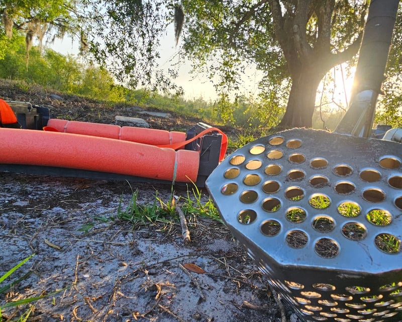 4-Hour Fossil Hunting Tour in Bowling Green