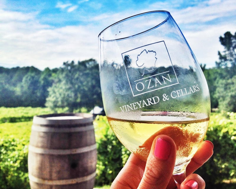 Vineyard Wine or Spirits Tasting Flight in Calera, AL