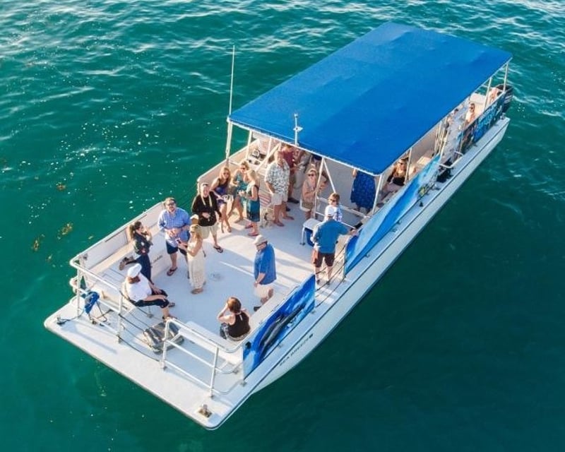 Key West Dolphin Watch & Snorkel Tour