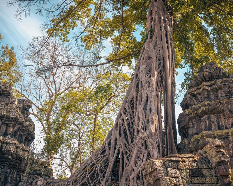 Siem Reap Sunset Temple & Food Tour