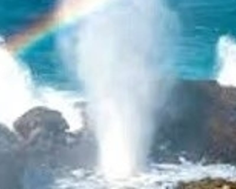 Private Biologist-Led West Maui Coastline Tour