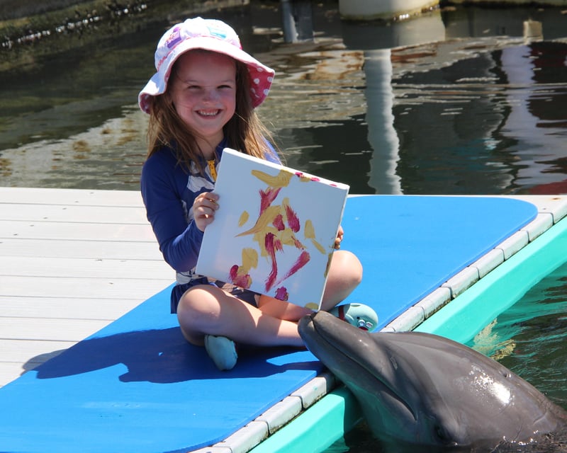 Paint With Dolphins Experience