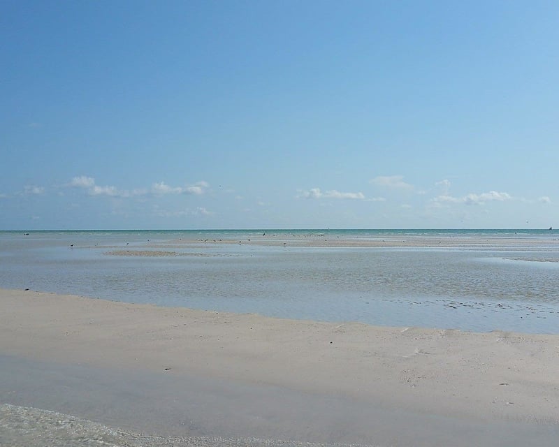 Egmont Key Boat Tour & Fort Dade Ruins Snorkel
