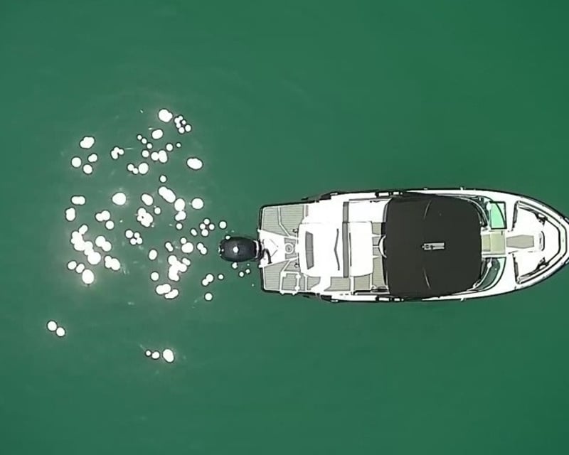 Private Sandbar & Sunset Boat Rental in Key West