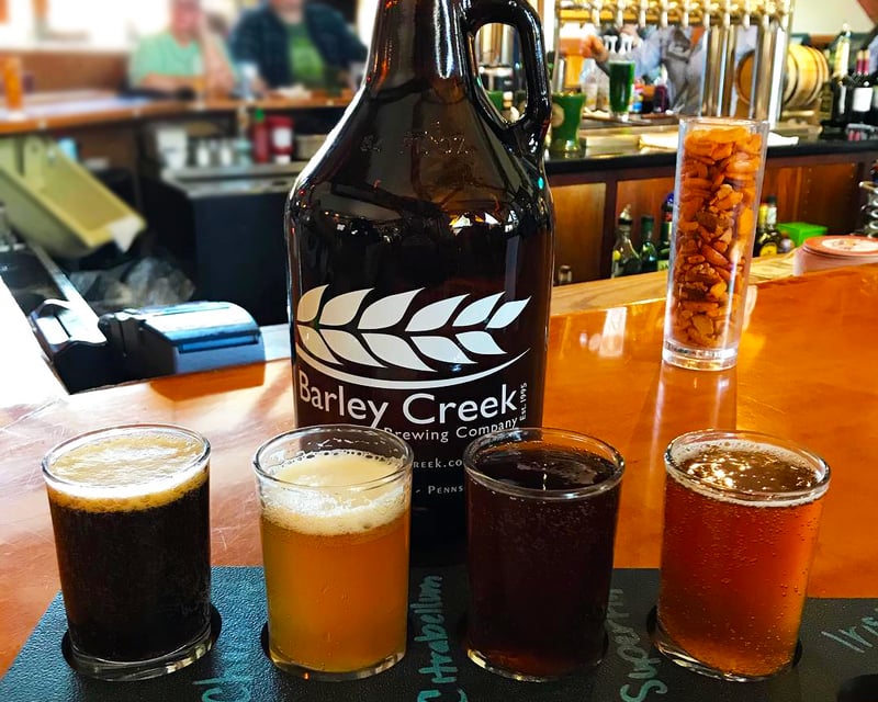 Paintball & Craft Beer Flight in Tannersville