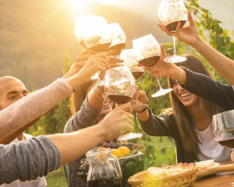 Solvang 5-Hour Guided Wine Tasting Tour