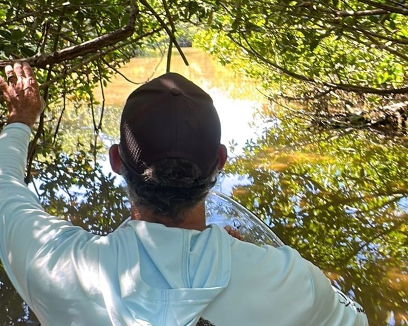 Private 2.5-Hour Clear Kayak Ecotour in Sarasota