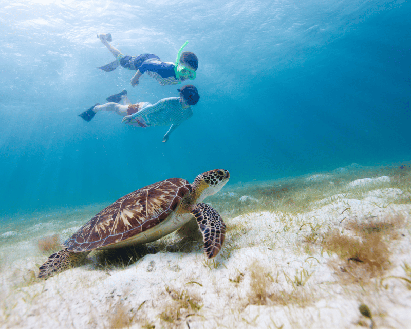 Private Oahu North Shore Tour
