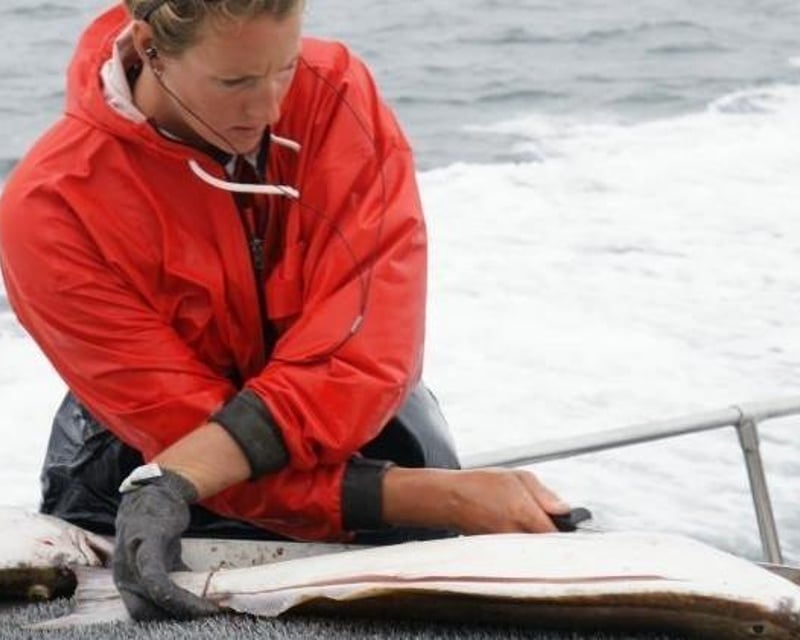 Kenai Fjords Halibut & Salmon Fishing Charter
