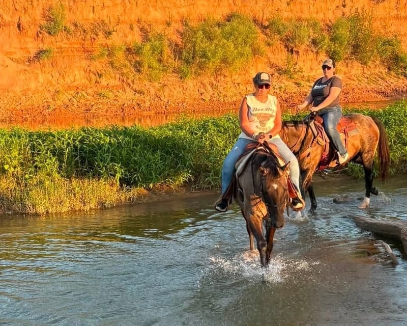 Guided Horseback Trail Ride at Moon River Ranch