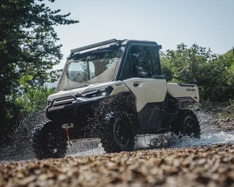 Half-Day UTV Trail Rental in Bighorn National Forest
