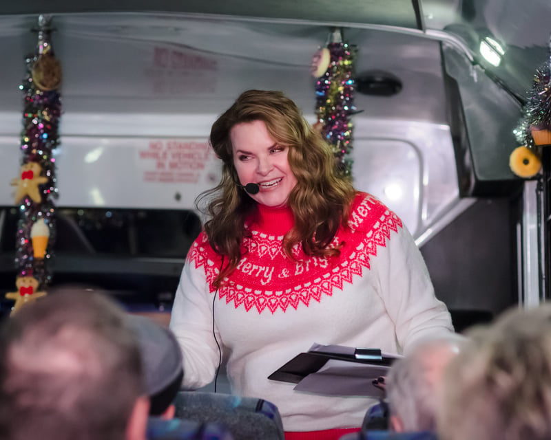 Milwaukee Christmas Lights Tour