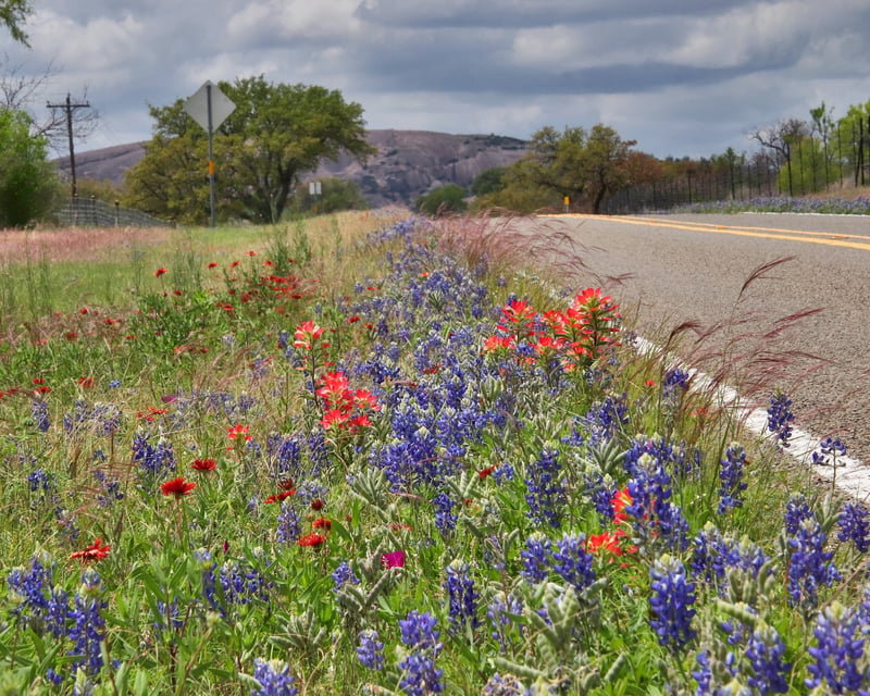 Private Texas Hill Country Van Tour from New Braunfels
