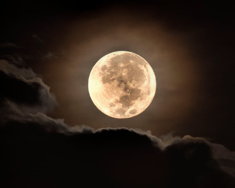 Jupiter Full Moon Cruise