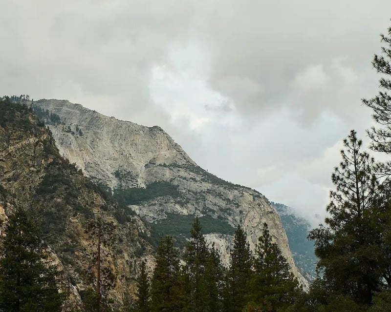 Full-Day Private Tour & Hike in Kings Canyon
