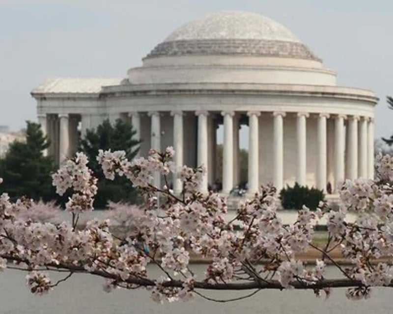 Private Washington DC Monuments Tour with Hotel Pickup