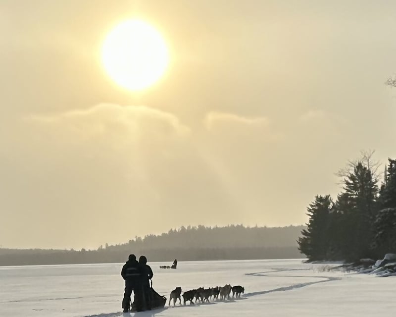 Full-Day Boundary Waters Dogsledding Tour in Ely, MN