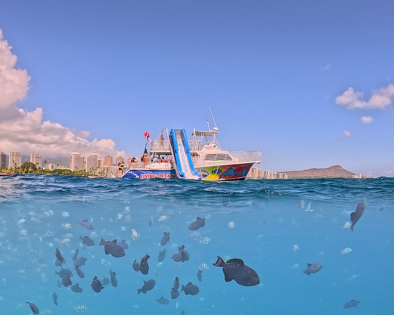 Waikiki Snorkel Cruise with Waterslide & Trampoline