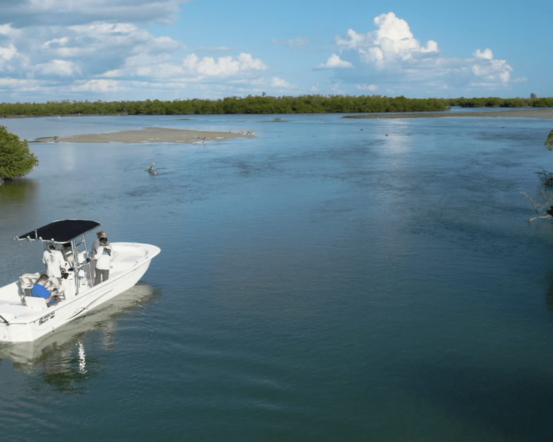 Private 10,000 Islands Dolphin Tour from Marco Island
