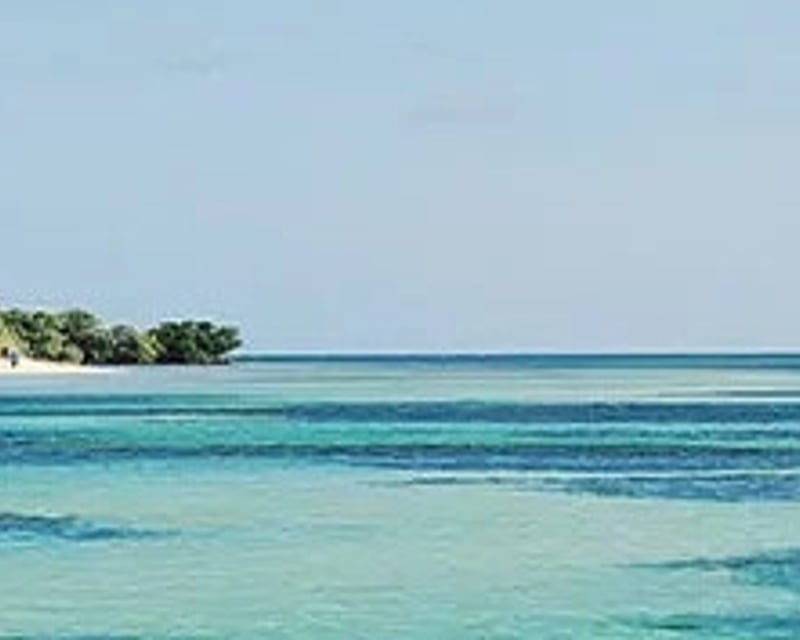 Private Sandbar & Mangrove Island Boat Charter in Key West