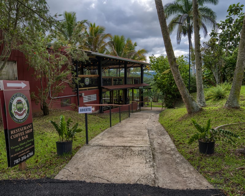 Full-Day Lares Coffee Hacienda Tour from San Juan