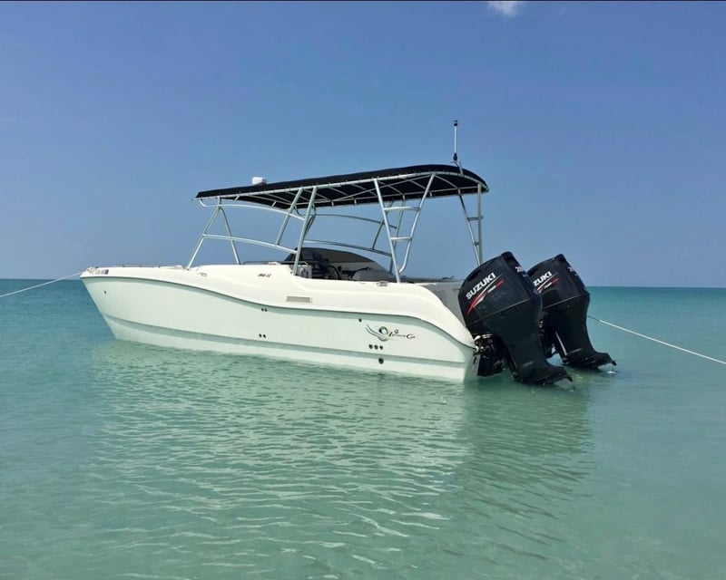 Private Miami Skyline Speed Boat Tour of Biscayne Bay
